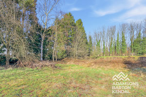 Photo 35- click for photo gallery